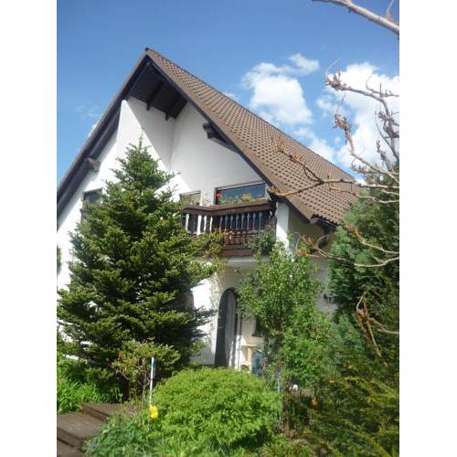 Apartment in Eibenstock 30354