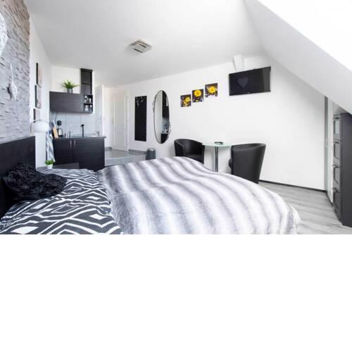 Apartment in heart of Prague - open even NOW