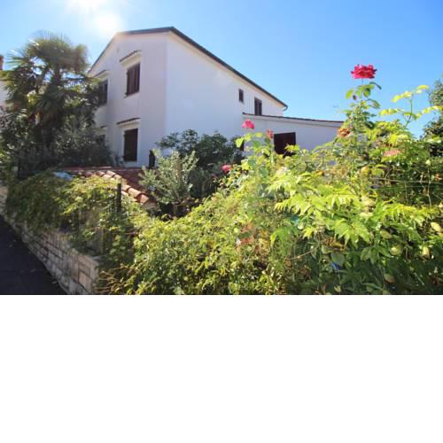 Apartment in Porec/Istrien 10624