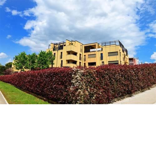 Apartment in Porec/Istrien 38748