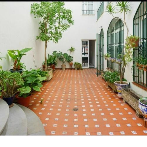 Apartment in the center of Seville