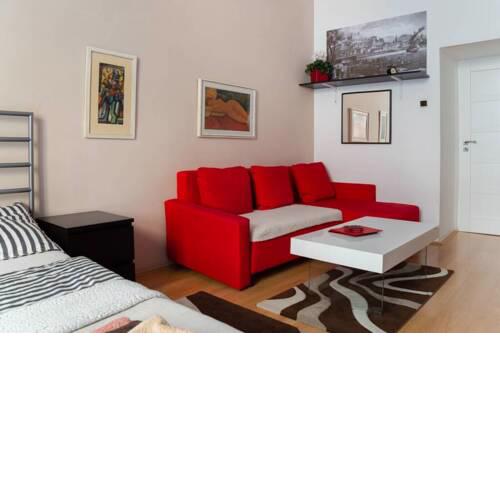 Apartment in the Center