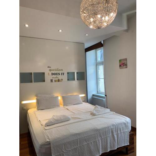 Apartment in the heart of Vienna