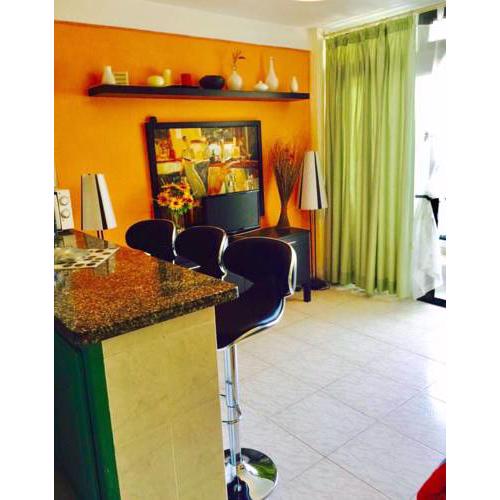 Apartment in Vina del Mar