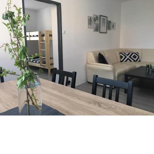 Apartment Jana Vojny