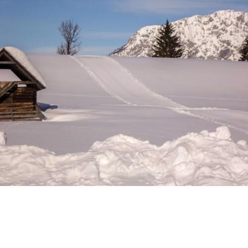Apartment Kammspitze
