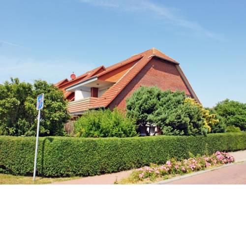 Apartment Kutter