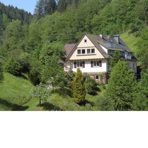 Rustic Country House in Oppenau Germany near Forest