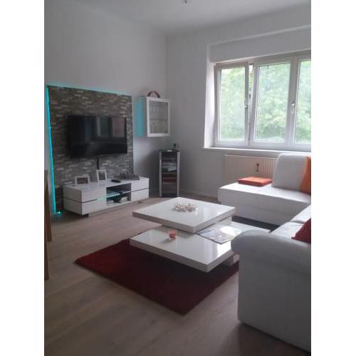 Apartment Meschnik