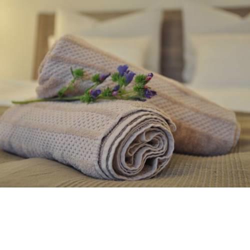 Apartment Mida