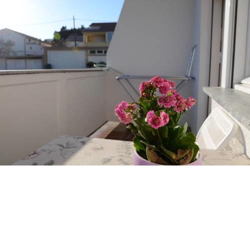 Apartment Miljenko