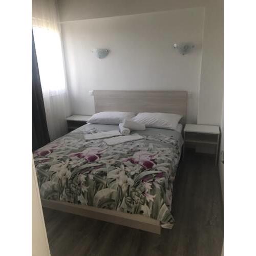 Apartment Miruna