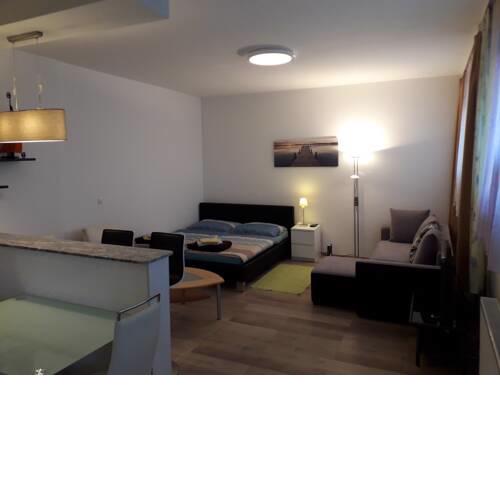 APARTMENT mit 1 Schlafzimmer