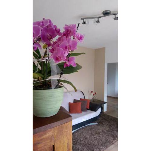 Apartment mit Gartenblick