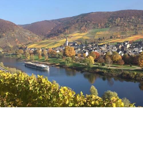Apartment Mosel-Traum