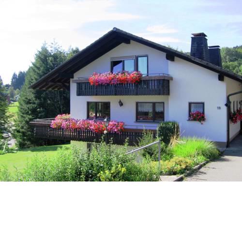 Spacious Apartment in Rickenbach near Ski Area