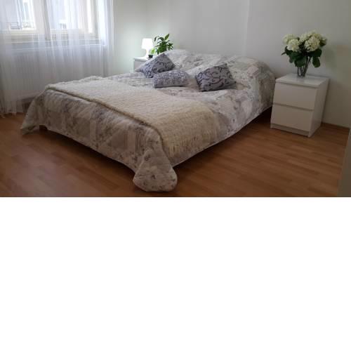 Apartment near Prague Castle