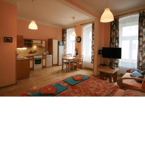 Apartment No. 22 Zeyerova 15