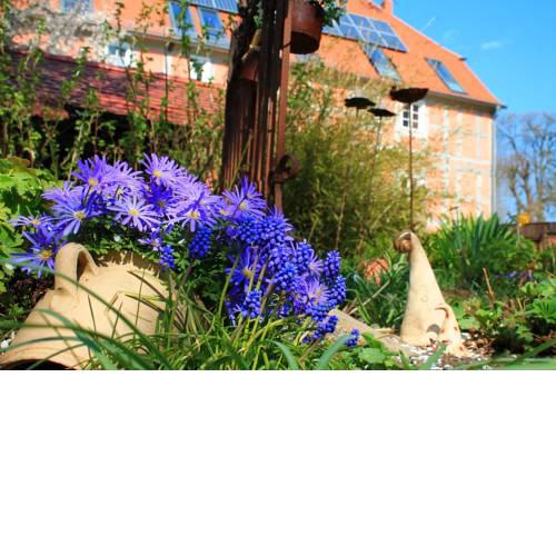 Apartment Nordwestuckermark 2
