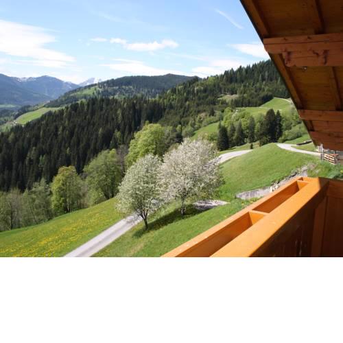 Apartment Obersteffengut