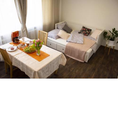 Apartment Olinka