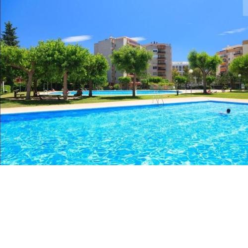 Apartment Palm Mediterrani