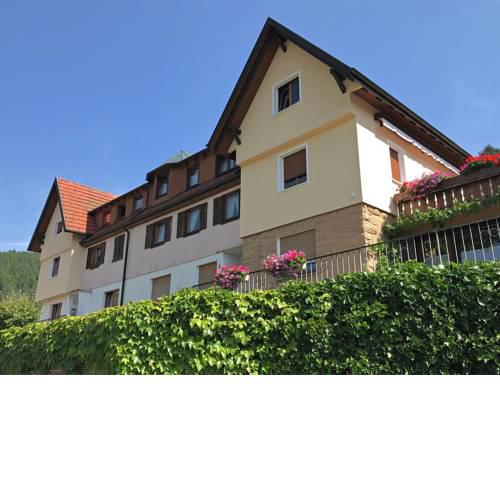 Cosy Apartment in Baiersbronn with terrace and garden