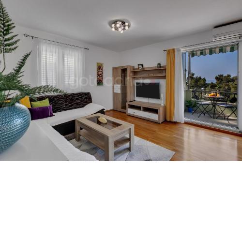 Apartment Pine Wood