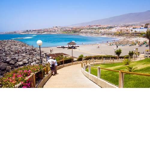 Apartment Playa Torviscas