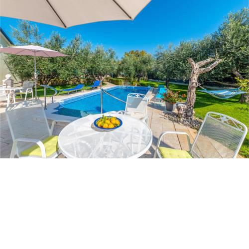 Apartment Policeva
