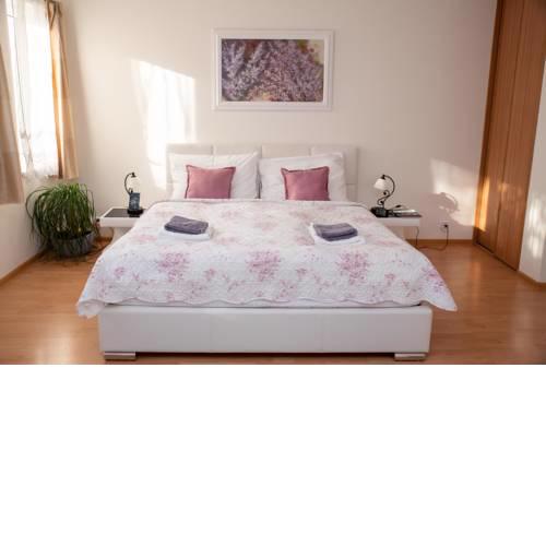 Apartment Prosek