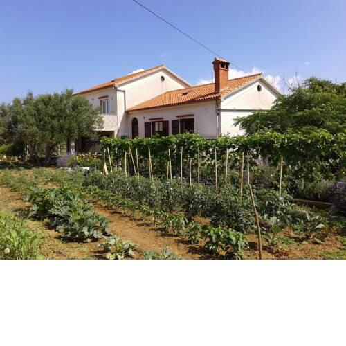 Apartment Radovic Nives