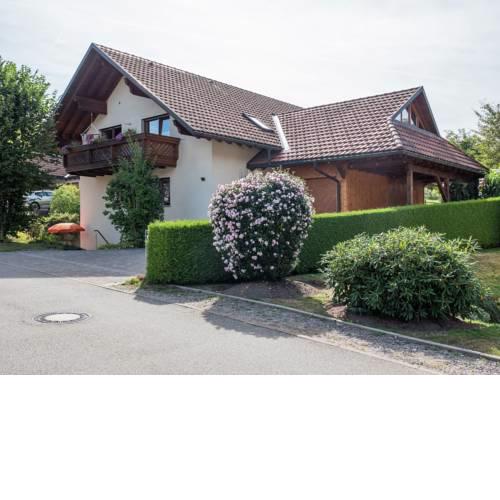 Modern Apartment in Rickenbach near Swiss Alps