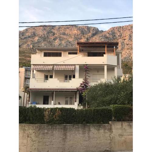Apartment Ribicic