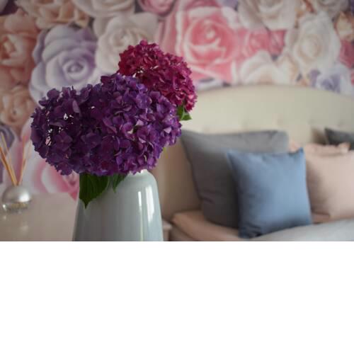 Apartment Rose Sasbachwalden
