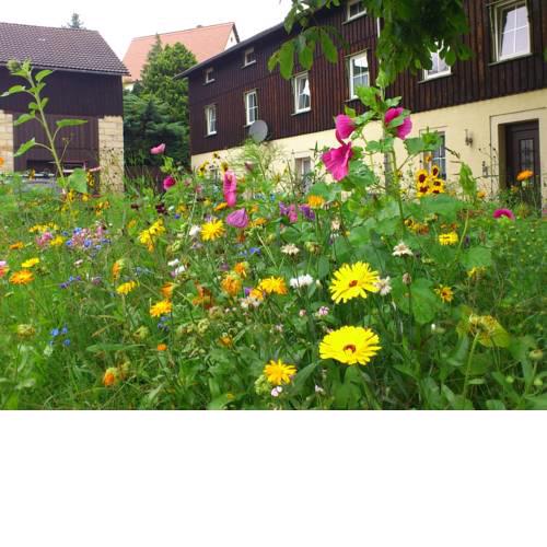Gorgeous Apartment in Weissig Saxony with garden seatin