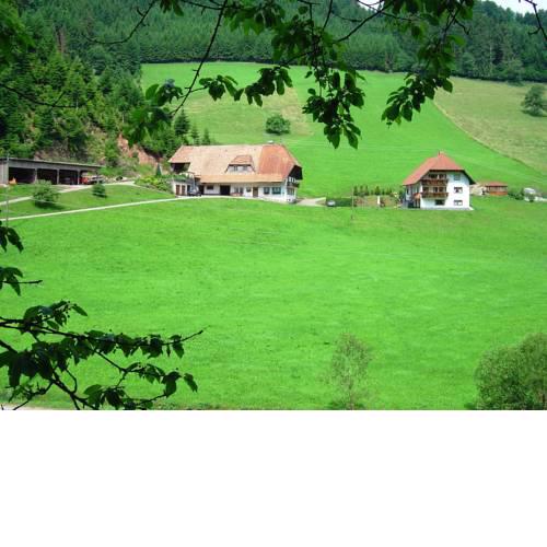 Apartment Salmensbach 1