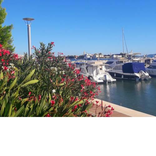 apartment sea la vie borik