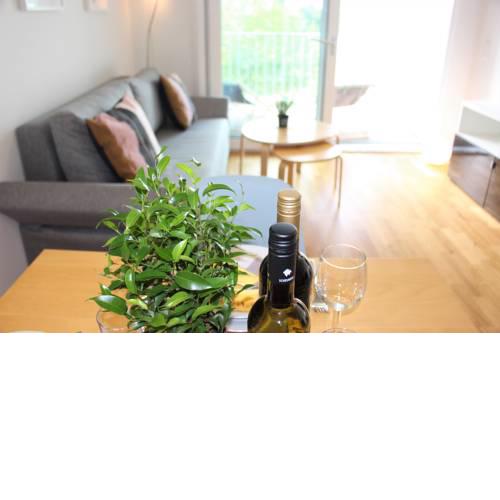 Apartment Seerhein