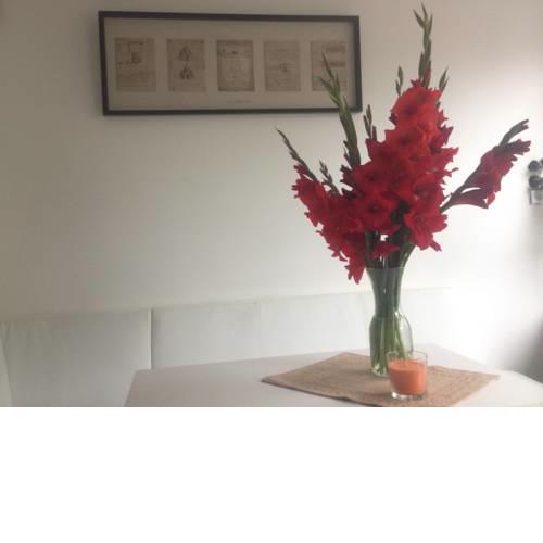 Apartment Solingen