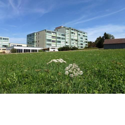 Apartment Taborstrasse.46