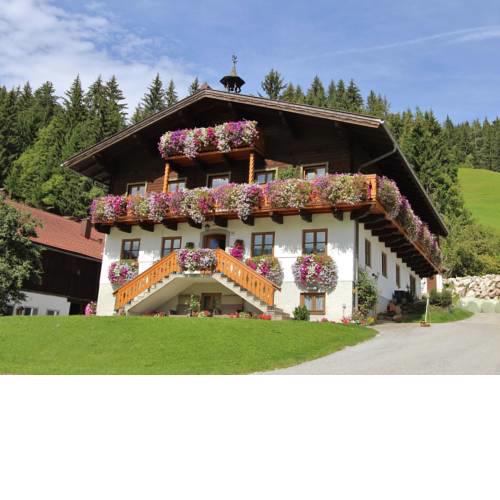 Apartment Tanja 1