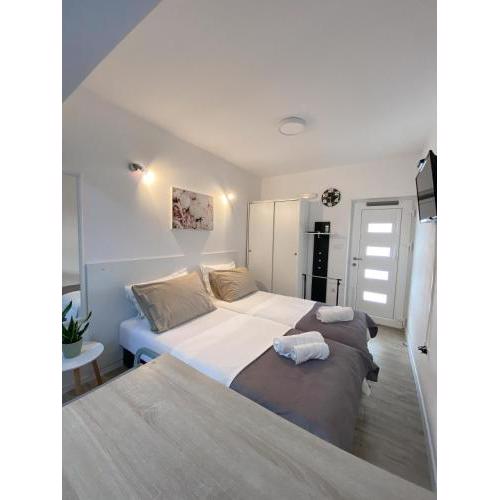 Apartment Theo