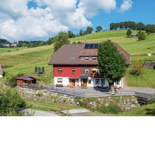 Serene Apartment in Todtnauberg with terrace