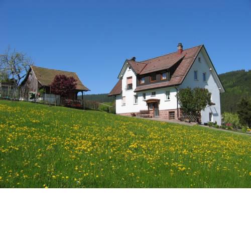Cozy Apartment in Vorderer Tonbach with Parking