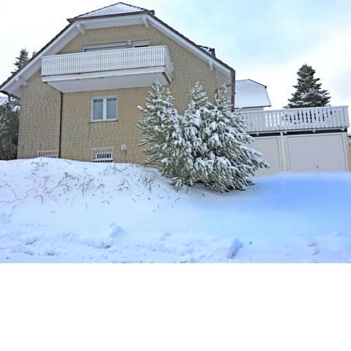Vintage Apartment in Winterberg Sauerland near Ski Area