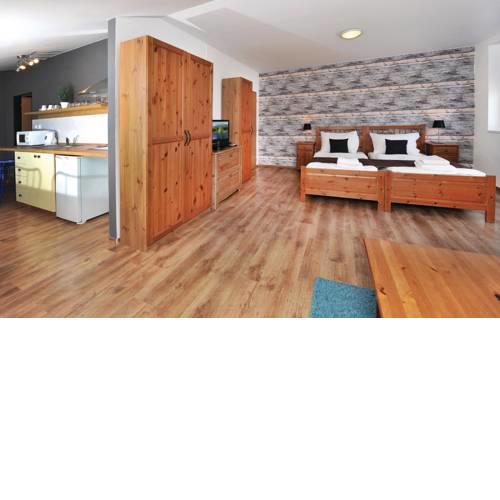 Apartment Velký Slavkov II