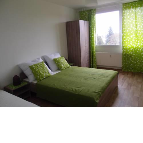 Apartment Viktoria