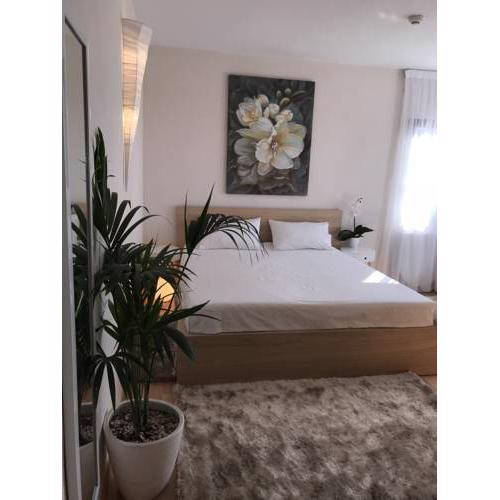 Apartment VIParaiso