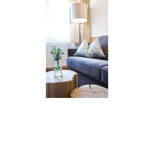 Apartment Wagrainerstrasse IV